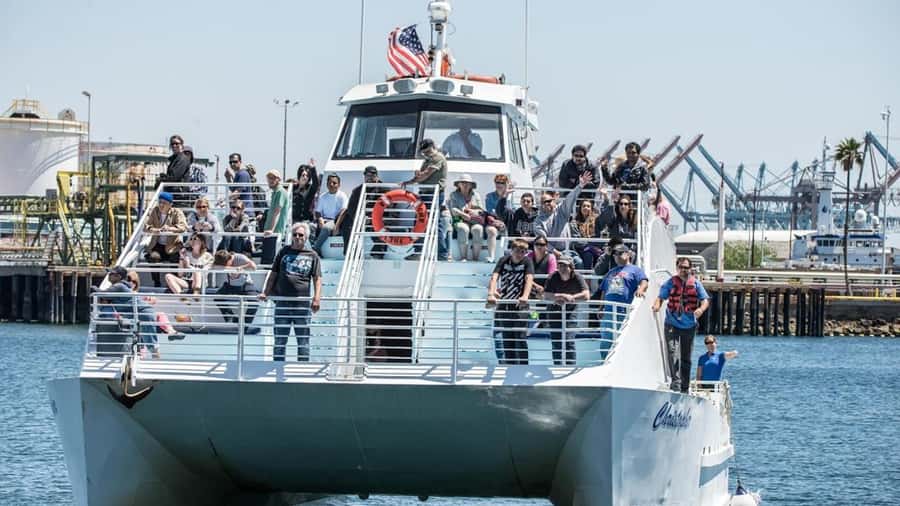 Long Beach: Whale and Dolphin Watching Cruise - What you might see in the Pacific