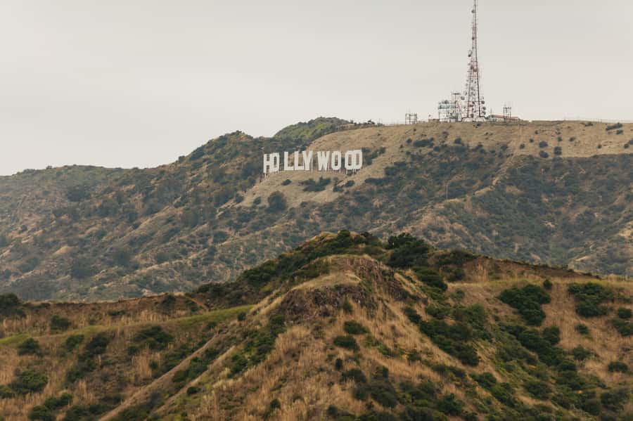 Los Angeles: Half-Day Best of LA Tour - What the bus ride adds to the experience