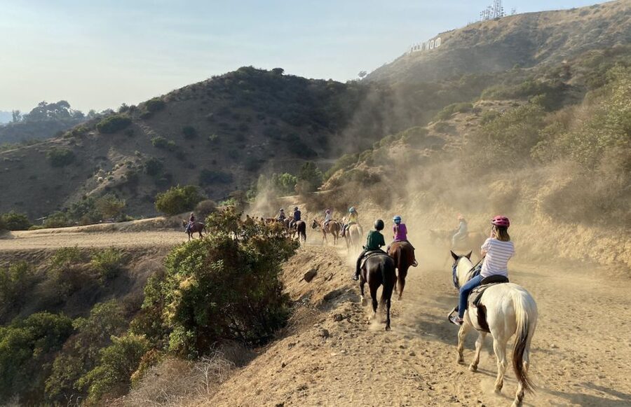Los Angeles: Mulholland Trail Horseback Riding Tour - Key Points Before You Book
