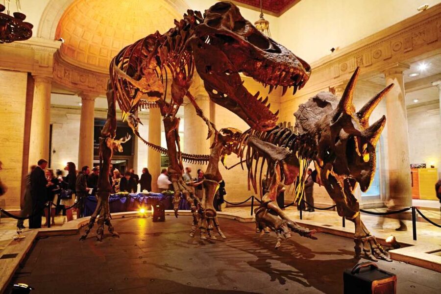 Los Angeles: Natural History Museum of LA Entry Ticket - Key points at a glance