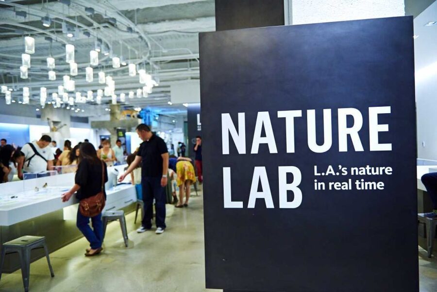 Los Angeles: Natural History Museum of LA Entry Ticket - Admiring the Mineral Hall’s diamonds and sapphires