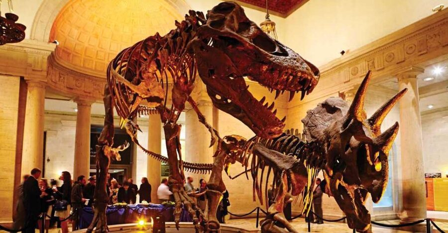 Los Angeles: Natural History Museum of LA Entry Ticket - Starting with Dinosaur Hall and the T. rex family