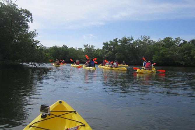 Lovers Key Guided Eco Tour-Mangrove Estuary - Is $67 per person a fair price?