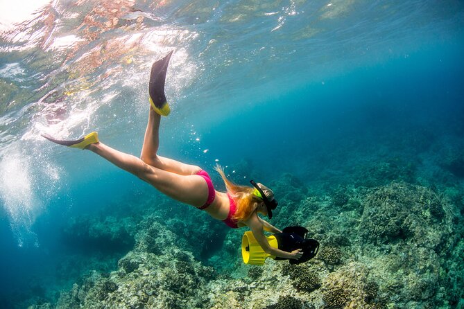 Luxury Kona Coast Snorkel Tour Including Lunch - Rob’s Reef and Turtle Rock at Pali Kaholo