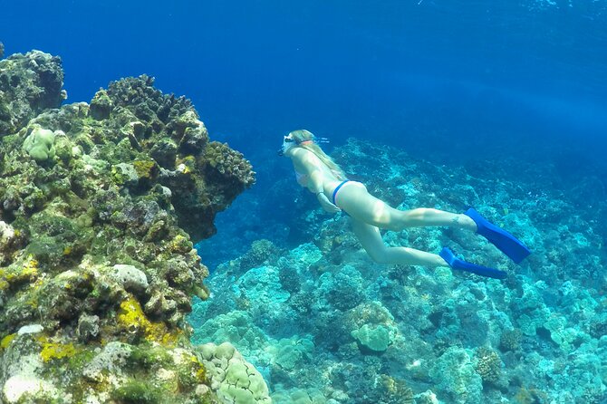 Luxury Kona Coast Snorkel Tour Including Lunch - Puʻu ʻOhau and the red volcanic cone