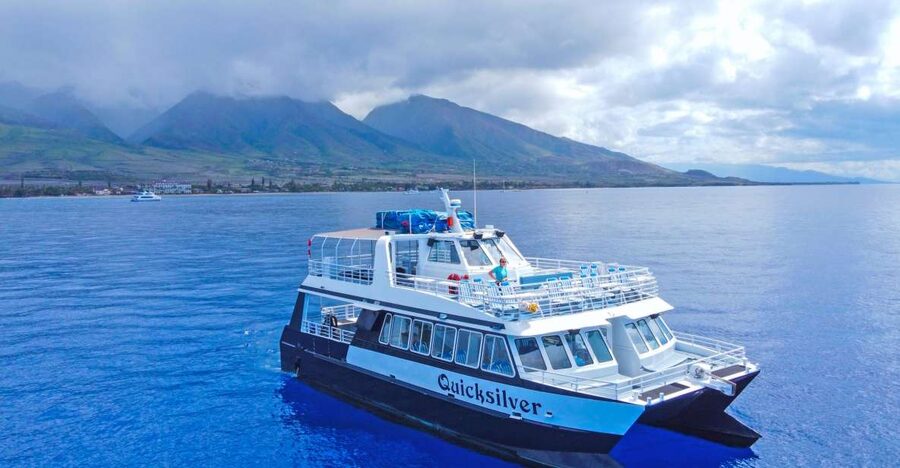 Ma'alaea Harbor: Whale Watching Tour Aboard Power Catamaran - Leaving Maalaea Harbor and finding the boat