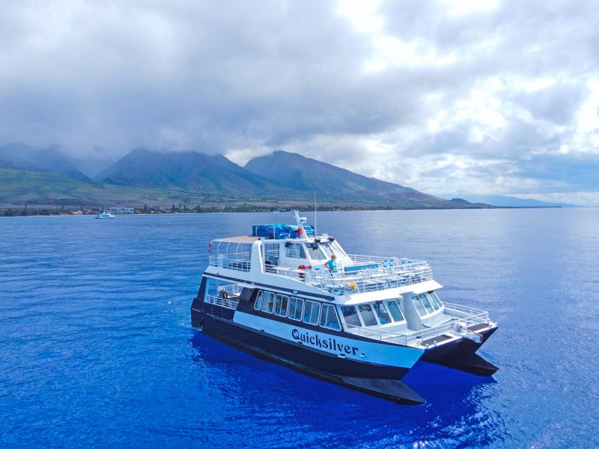 Ma'alaea Harbor: Whale Watching Tour Aboard Power Catamaran - What the two-hour route is really like