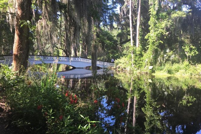 Magnolia Plantation Admission & Tour with Transportation from Charleston - Walking America’s last large-scale Romantic Garden