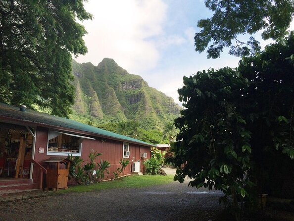 Majestic Circle Island Tour with Lunch - What this Oahu circle tour is really designed to do