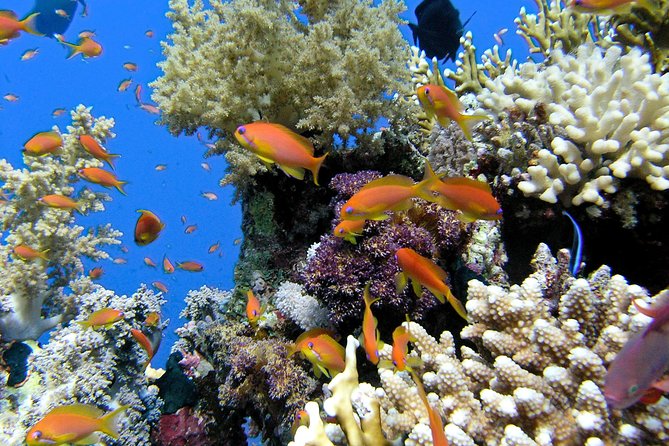 Makena Turtle Town Eco Adventure in Maui - Quick facts worth knowing