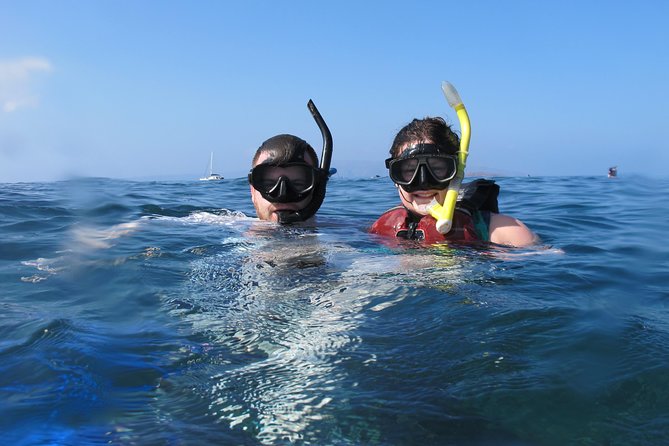 Makena Turtle Town Eco Adventure in Maui - Guides make the biggest difference