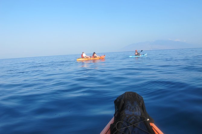 Makena Turtle Town Eco Adventure in Maui - Who should book this adventure