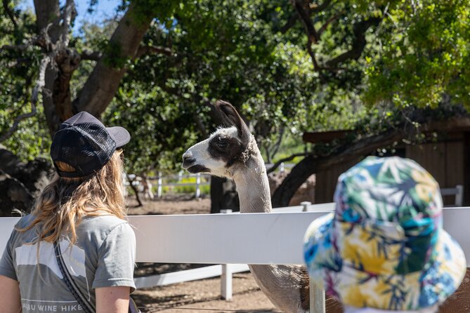 Malibu: Guided Vineyard Hike with Photo Stops and Wine - The organic garden and working property