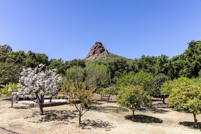Malibu: Guided Vineyard Hike with Photo Stops and Wine - What the wine at the end really means