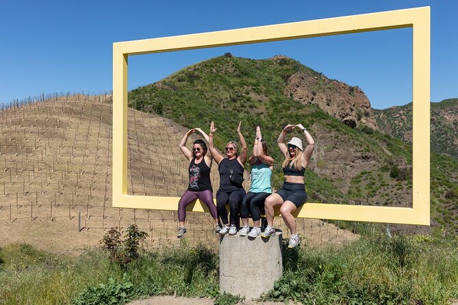 Malibu: Guided Vineyard Hike with Photo Stops and Wine - The vineyard and Malibu hill views