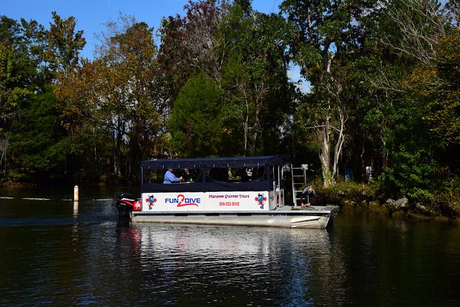 Manatee Snorkel Small Group Tour - Key points to know before you book