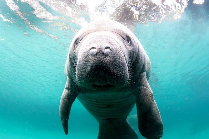 Manatee Snorkel Small Group Tour - The boat ride into the wildlife refuge