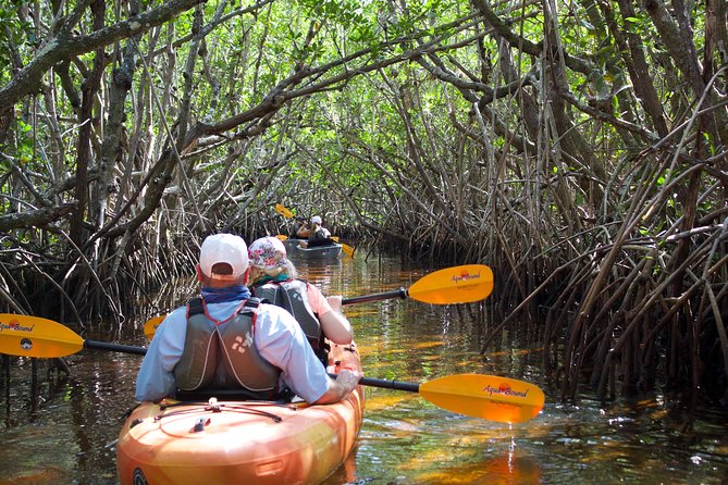 Manatees and Mangrove Tunnels Small Group Kayak Tour - Searching the deeper canal for manatees