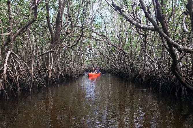 Manatees and Mangrove Tunnels Small Group Kayak Tour - Cancellation details worth noticing