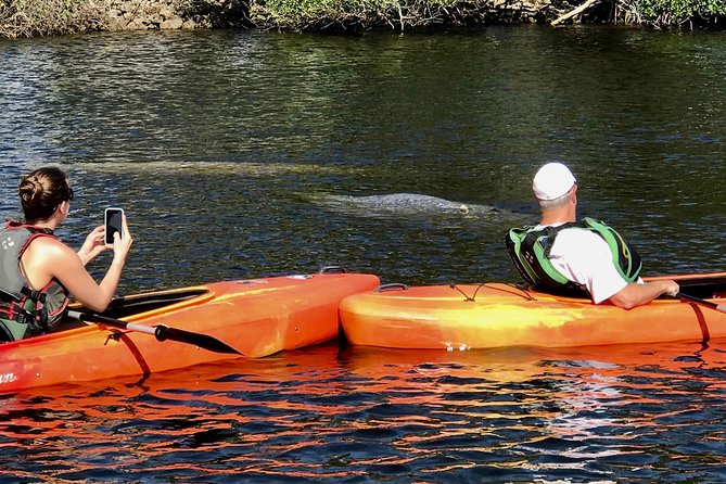 Manatees and Mangrove Tunnels Small Group Kayak Tour - Two hours inside the mangrove tunnels