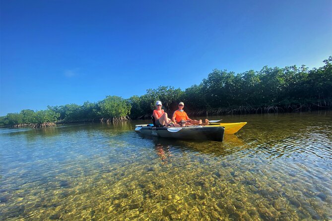 Mangrove Tunnel Kayak Adventure in Key Largo - Wildlife sightings, with no guarantees