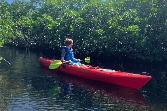 Mangrove Tunnel Kayak Adventure in Key Largo - The optional snorkeling portion