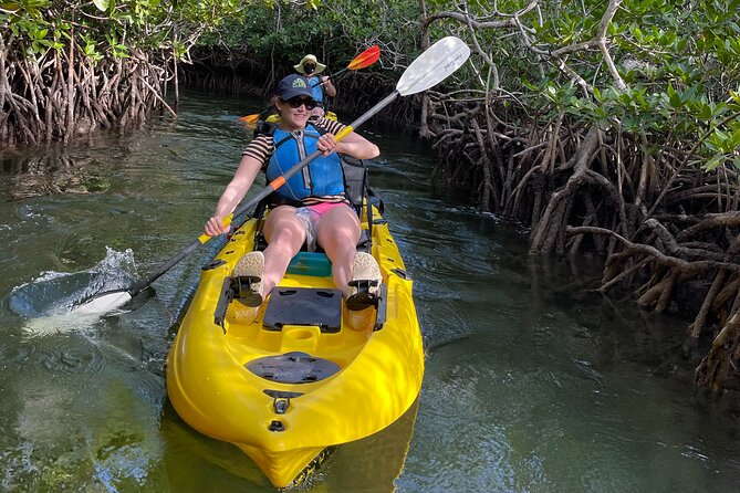 Mangrove Tunnel Kayak Adventure in Key Largo - Heat, mosquitoes, and what to pack