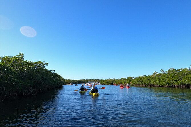 Mangrove Tunnel Kayak Adventure in Key Largo - The value of $68