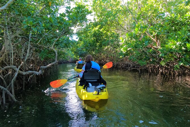 Mangrove Tunnel Kayak Adventure in Key Largo - Meeting at Florida Bay Outfitters
