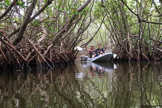 Mangrove Tunnels, Dolphins, Manatee Tour #1 Rated in Cocoa Beach - Through the mangrove tunnels