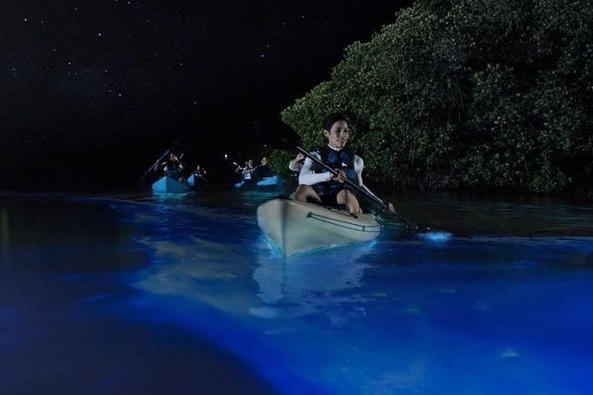 Mangrove Tunnels, Dolphins, Manatee Tour #1 Rated in Cocoa Beach - Two hours that feel active but not punishing
