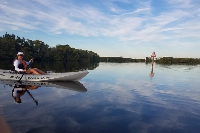 Mangrove Tunnels, Dolphins, Manatee Tour #1 Rated in Cocoa Beach - Guides who add more than directions