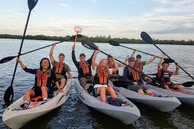 Mangrove Tunnels, Dolphins, Manatee Tour #1 Rated in Cocoa Beach - How the $59 price measures up