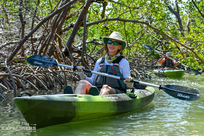 Mangrove Tunnels & Mudflats Kayak Tour - Local Biologist Guides - Why Rookery Bay is the right setting for a kayak trip