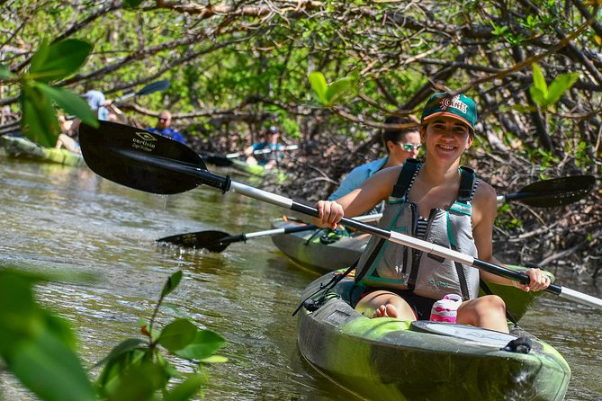 Mangrove Tunnels & Mudflats Kayak Tour - Local Biologist Guides - Paddling through mangrove tunnels and open water