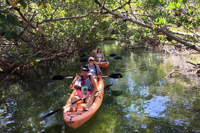 Mangroves and Manatees - Guided Kayak Eco Tour - Key points to know before you paddle