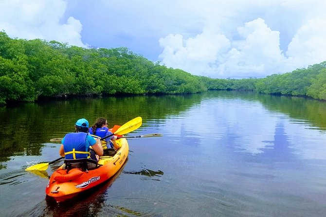 Mangroves and Manatees - Guided Kayak Eco Tour - Starting at 90773 Old Highway in Tavernier