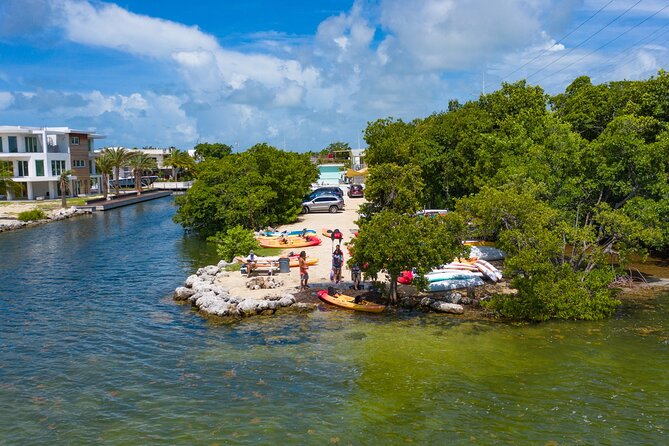 Mangroves and Manatees - Guided Kayak Eco Tour - Inside Tavernier Creek’s mangrove channels