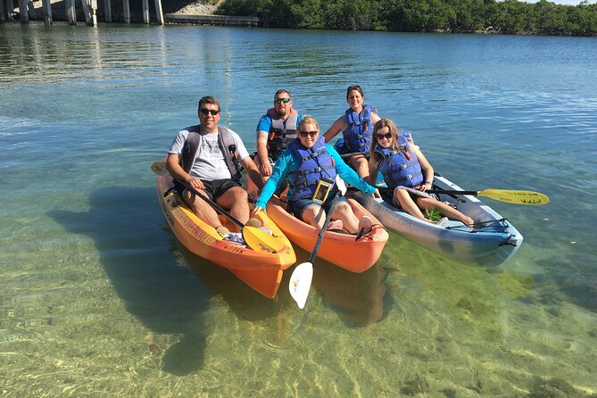 Mangroves and Manatees - Guided Kayak Eco Tour - Wildlife watching, with realistic expectations