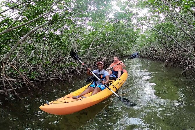 Mangroves and Manatees - Guided Kayak Eco Tour - What the two-hour format feels like
