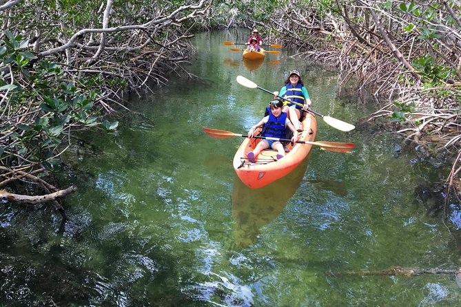 Mangroves and Manatees - Guided Kayak Eco Tour - Why the small group improves the outing