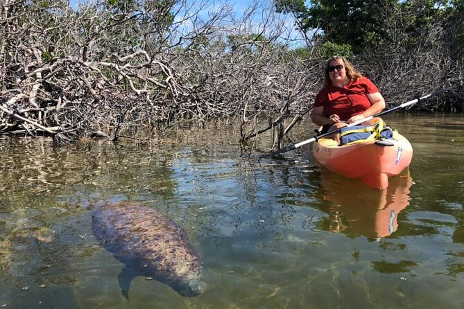 Mangroves and Manatees - Guided Kayak Eco Tour - The guides make the difference