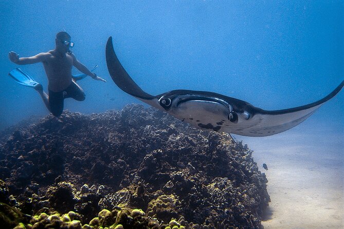 Manta Magic: Small-Group Manta Ray Night Snorkel in Kailua Kona - How the small group affects the experience