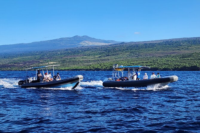 Manta Ray Night Snorkel at Kona, Big Island - Watching the manta rays feed