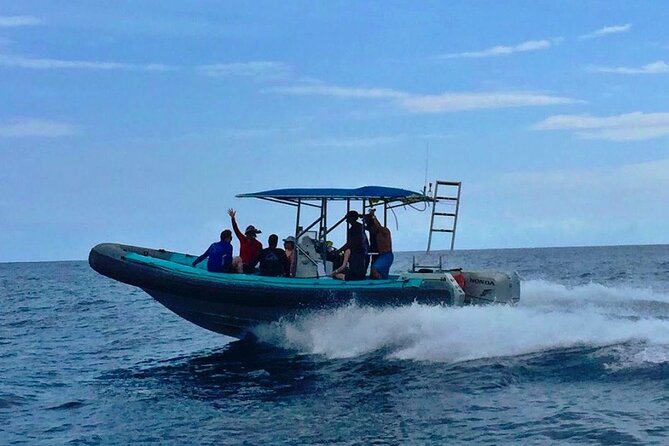 Manta Ray Night Snorkel at Kona, Big Island - Seasickness and comfort concerns
