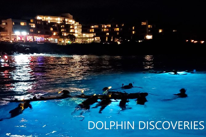 Manta Ray Night Snorkel at Kona, Big Island - Is it suitable for children?
