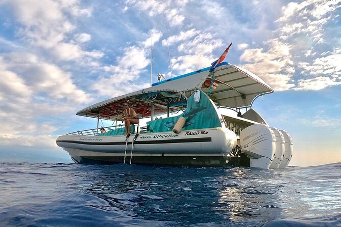 Manta Ray Night Snorkel from Kona — Small Group - Who will enjoy this night snorkel most