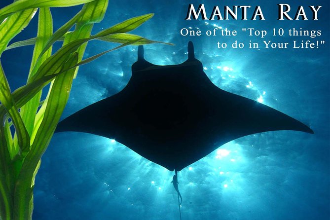 Manta Ray Night Snorkel from Kona — Small Group - Sunset boat ride and the choice of manta site