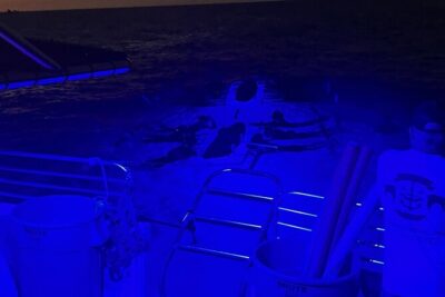 Manta Ray Night Snorkel in Kona
