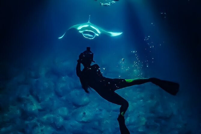 Manta Ray Night Snorkel Tour in Kailua-Kona, Big Island - The crew makes the difference